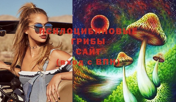 тгк Арсеньев