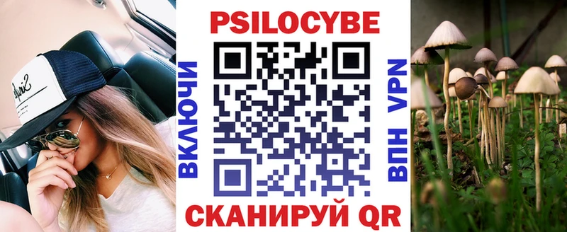 Псилоцибиновые грибы Cubensis  Аша 